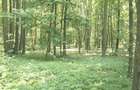 Oportunitate investitie exceptionala ! Pipera 352.400 mp. partial in intravilan - 4