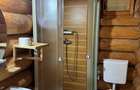 Resedinte montane,mobilate,echipate, jacuzzi,piscina,pretios areal,Sambata de Su - 14