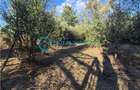 Royal Imobiliare - Vanzare Vila Zona Paulesti - Gageni - 41