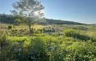 Teren Magura str. Intre Vii Islazului 550 mp - 1