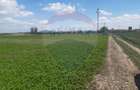 Teren 2730mpx2  Brasov-Stupini / Strada Plaiului - 5