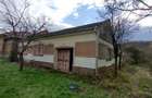 Bogodint, Casa cu 4 Hectare Teren, Pret Negociabil - 2