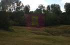 Teren intravilan de vanzare in Telega - 11