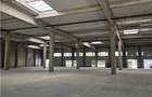 Spatii Industriale - 1296 mp - Productie - Depozitare - Distributie - E-Commerce - 11