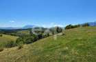 PANORAMA POIANA MĂRULUI | Teren cu potențial de dezvoltare - 5