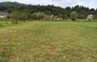 Teren intravilan Valea Lunga Cricov, jud Dambovita - 2