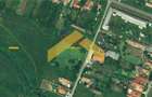 Teren intravilan de vanzare Frumuseni - 1