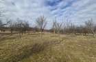 Teren intravilan, 3800 mp, ideal investitie - zona turistica , Moigrad - 5
