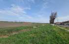 TEREN INTRAVILAN DE 2134 MP CU DRUM PROPRIU ÎN PREJMER – IDEAL PENTRU INVESTIȚIE - 8