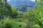 In cartea de povesti a Pietrei Craiului, ansamblul turistic functional,Plaiul Fo - 14