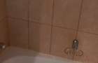 APARTAMENT 2 CAMERE PIATA ROMANA LINGA METROU - 54