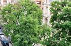 Garsoniera Magheru Ambasada Angliei str. Pitar Mos etaj 4/6 mobilata RS1 - 7