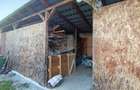Casa cu 3 camere,baie, bucatarie,anexe.pivniță teren 800 mp - 5