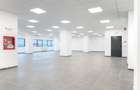 Spatiu comercial | Baicului | 305 mp | 355 mp | - 3