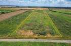 Teren Sacalaz 3,6 Ha - Pretabil PUZ Locuinte - 5