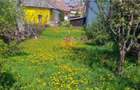 Casa 2 camere, UMF, CENTRAL, curte, renovat, Targu Mures - 7