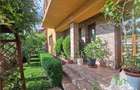 Vila lux 5 camere cu gradina superba centru Domnesti - 19