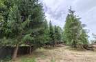 Teren cu casa de vacanta 3300 mp Rasnov Zona Glajarie - 5
