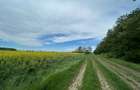 Teren pentru casă lângă pădure | 500 mp | Clinceni | Investiție excelentă - 5