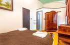 HOTEL Karol | Resedinta istorica, colectie de arta si patrimoniu - 11