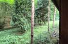 casa si cabana de vanzare Capus Gilau