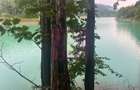 Teren cu deschidere la lac – Valea Doftanei, Prahova - 7