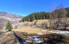 Teren la munte în Bucovina - 1