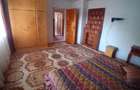 Vila 365 mp si teren aferent 5000 mp Batca Doamnei - 4