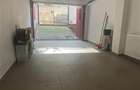 Vila Tei, 8 camere, 320 mp utili, curte libera 150 mp - 11