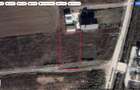 Otopeni-Philip Morris,(zona mixta),1308 mp,50 deschidre X 26 m - 1