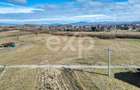 Teren 3.120 mp cu potențial de dezvoltare – Săcele | Posibilitate PUZ - 13