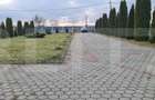 Casa individuala 277 mp, 3 dormitoare, teren 2500 mp, Campia Turzii - 19
