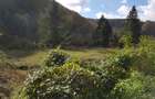 Teren intravilan ideal si de investitie, in Loc. Resita, strada Ciresului - 6
