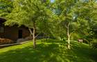 Mountain Chalet | Private Resort | Investment - Nistoresti - 3