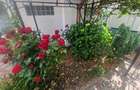 Navodari zona Sud- Vila P+1, 4 camere, Garaj, teren 326mp -260.000euro - 26