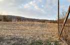 Investitie ideala in Coroi! Constructii cu 4.6 ha teren. - 13