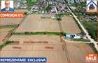 Teren intravilan construibil | 2x1190mp | 1 Decembrie - Ilfov - 1