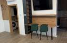 Apartament o cameră 41 mp plus terasa Ateneo Torontalului  - 2