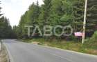 Teren cu puz intravilan in localitatea Paltinis din judetul Sibiu - 4