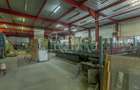 Doua hale / spatiu industrial + birouri 5000 mp / Sector 4 - 6