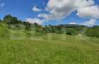 Teren, zona Gusterita , 28.800 mp