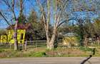 Proprietate 4200 mp Căndărăi cu cabană, livadă și anexe - 6