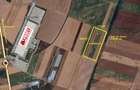 Teren extravilan 80.000 mp – lângă calea ferată & Profi Logistic – Șag - 1