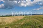 Teren extravilan 16500 mp front 47 m acces auto zona aerodrom Cisnadie - 4
