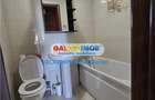 APARTAMENT 2 CAMERE DE LUX DRUMUL TABEREI - 5