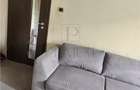 ARADULUI - 2 CAMERE - TAVAN IZOLAT - RENOVAT - CLIMA - SPATIOS - 3