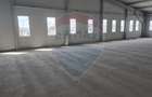 Spațiu industrial Balotesti - Tunari - Aeroport Otopeni - 6