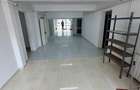 Vila Individuala | Baneasa-Aerogarii | Spatiu Birouri/Rezidential - 8