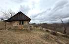 TEREN 34.000 MP | SERANI BIHOR - 3
