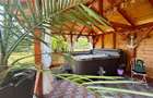 Refugiu pretios:jacuzzi, lemn masiv,2.000 mp teren,4 dormitoare, cuptor, investi - 6